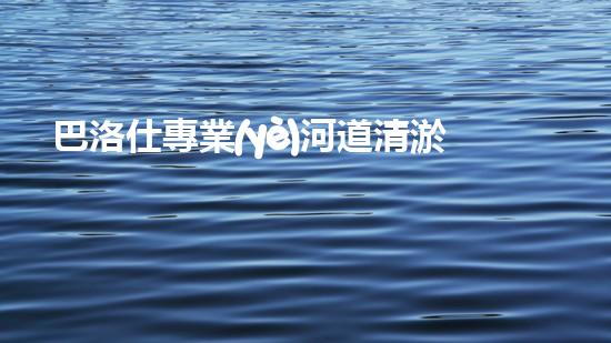 巴洛仕專業(yè)河道清淤設備租賃，高效環(huán)保首選！